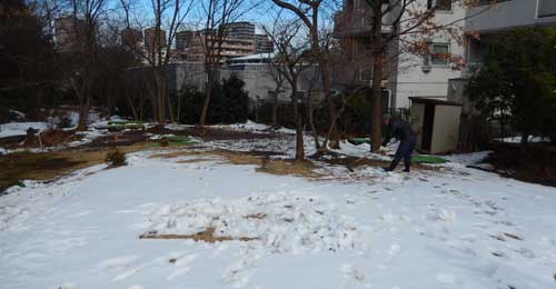 南大沢緑地公園雪かき