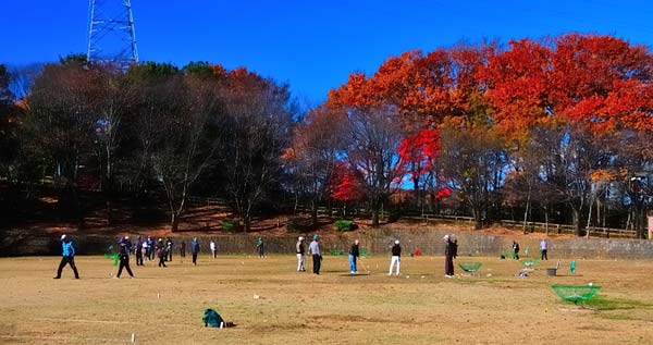 青空と紅葉の多目的広場